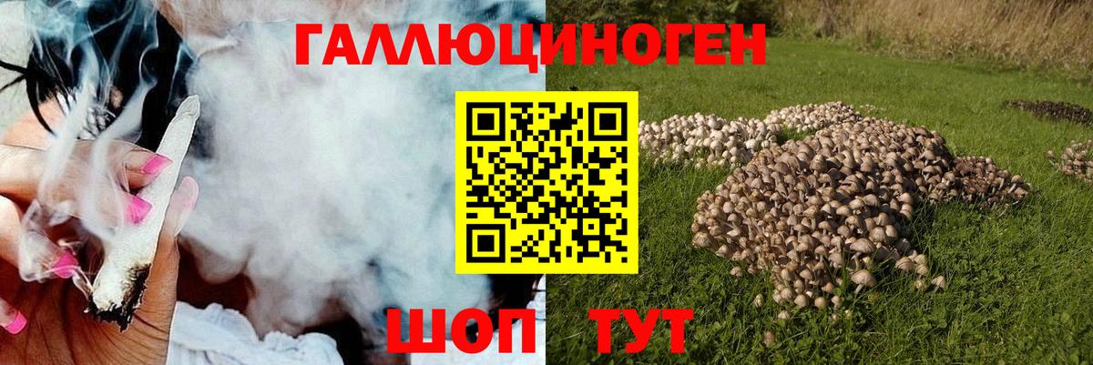 Новоалтайск  Галлюциногенные грибы Psilocybine cubensis  хочу   Вход с VPN 