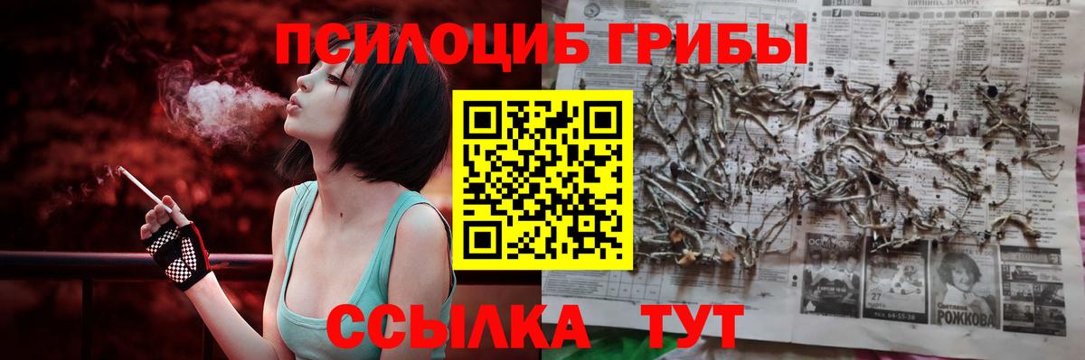 Галлюциногенные грибы MAGIC MUSHROOMS Новоалтайск